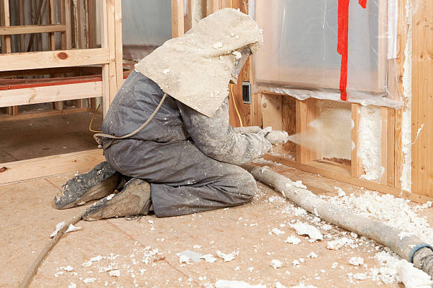 Spray Foam Insulation